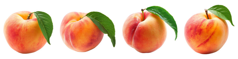 Wall Mural - Peach isolated on a white background. png collection