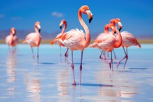 Flamingos At Salar De Uyuni, Bolivia, Group Of Pink African Flamingos Walking Around The Blue Lagoon On A Sunny Day, AI Generated