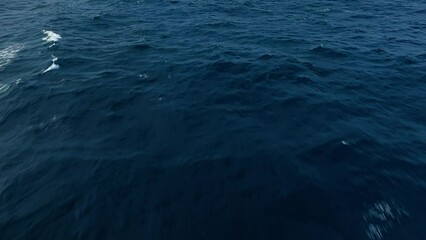 bird's eye view of open ocean water soaring above shimmering depth of dark blue seas