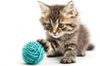 © Denis - Playful cute tabby striped fluffy kitten with the knitted ball is isolated on white background