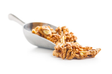 Poster - Peeled dried walnut kernels in scoop  isolated on white background.