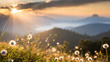 Fototapeta  - Stunning sunrise over the mountains, refreshing meadow landscape bathed in sunrays and golden bokeh