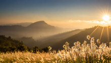 Stunning Sunrise Over The Mountains, Refreshing Meadow Landscape Bathed In Sunrays And Golden Bokeh