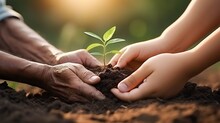 Saving The Planet For Our Children With Planting The Tree