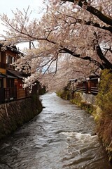 Poster - A picturesque scene of a river running through a vibrant and dense green forest. Perfect for nature enthusiasts and travel websites