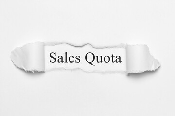 Canvas Print - Sales Quota	