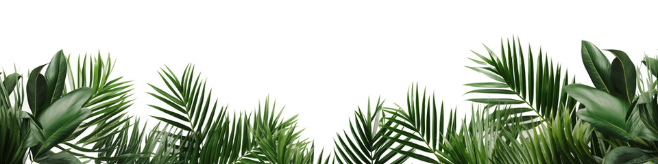 Wall Mural - Tropical green leaf frame on white background.