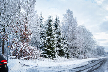 Wall Mural - Road in winter landscape in Hassleholm, Sweden