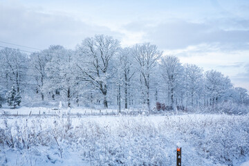 Wall Mural - Train track in winter landscape in Hassleholm, Sweden