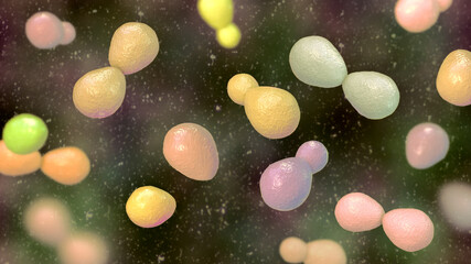 Wall Mural - Histoplasma capsulatum yeasts, 3D illustration