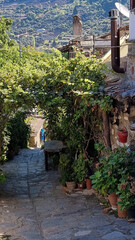 Wall Mural - travel Italy Turkey Mediterranean vacation sea mountains dream hotel blue historical sky pool