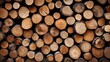 © serdjo13 - Wooden natural cut logs textured background, top view, flat lay
