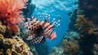 Large lionfish fish, ocean, large coral reefs, predatory and poisonous fish. Rare ocean fish.