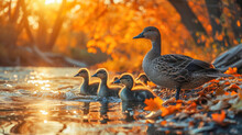 AI Generated Illustration Of A Family Of Geese Swimming In A Tranquil River At Sunset