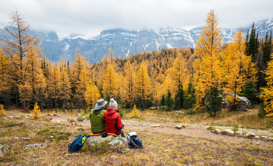 tourists hiking in larch valley. banff national park, canadian rockies, alberta, canada. golden yell