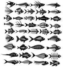 Set Of Fish Bone Silhoutes , Fish Bone Silhoute In One Set ,fish Bone Silhoute  Discount
