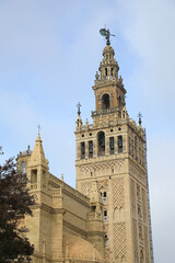 Wall Mural - sevilla giralda catedral vista desde el barrio de santa cruz 4M0A5324-as24