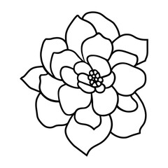 Hand drawn simple flower illustration