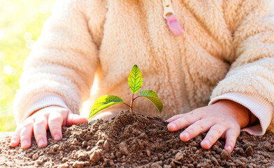 Children’s hands planting of young plant. Environment concept