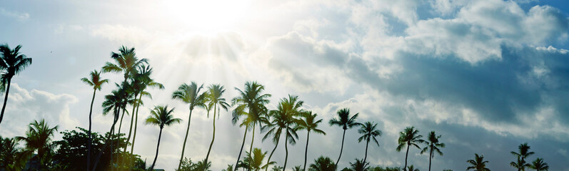 Wall Mural - Silhouettes of palm trees against the sky during a tropical sunset.