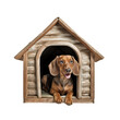 Funny puppy or dog in a wooden doghouse isolated on a transparent background. PNG file.	
