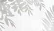 background with subtle foliage shadows on white minimalistic light background with foliage shadows