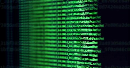 Software development and hacking concept. Close-up of computer screen - modern electronic technologies.  Search files process in big data array. Cyberattack. Ddos attack