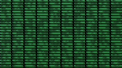 Wall Mural - binary code - computer program or concept of digital software development. futuristic cyberspace wit