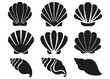© George - Seashell set silhouette illustration isolated on white background