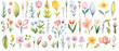 Vibrant Spring Watercolor Florals Collection