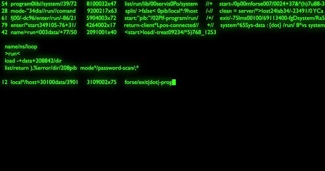 Wall Mural - computer programming code green text background. scrolling programming security hacking code data, g