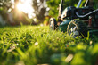 Leinwandbild Motiv Lawn mower cutting green grass in backyard