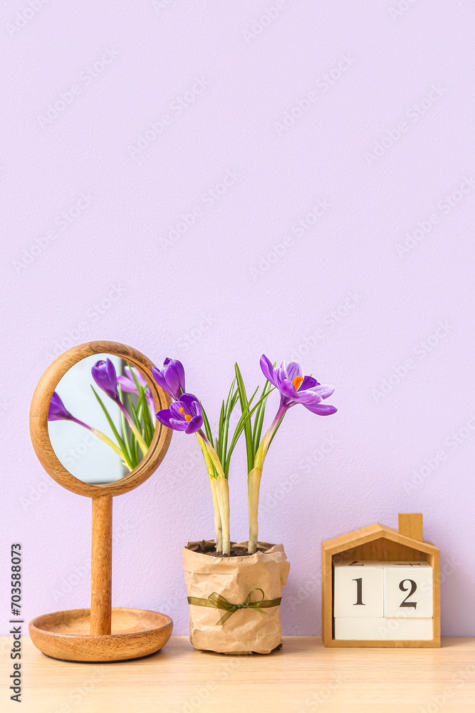 Pot with beautiful crocus flowers, mirror and cube calendar on table near lilac wall
