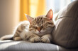 © Sawai Thong - Cute cat sleeping on sofa