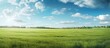 green meadow bright blue sky background