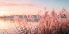 Wispy Tall Grasses Sway Gently By A Serene Lake, Set Against A Backdrop Of A Soft Pink Sunrise