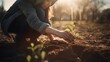 © Naige - close up of a young woman is planting a small green plant in the garden. The background is a sunny garden.  concept of spring and eco earth day