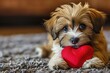 © PinkiePie - Puppy with plush sof red heart Lover Valentine puppy dog with a red heart