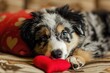 © PinkiePie - Puppy with plush sof red heart Lover Valentine puppy dog with a red heart