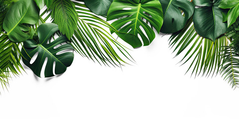 Tropical leave, top view, flay lay, mock up, aesthetic, empty in the middle isolate on transparency background png 