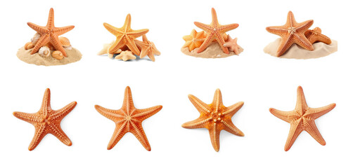 Set of starfish on sand isolate on transparency background png 