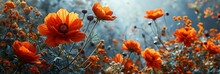 Orange Cosmos Flowers Create Frame, Banner Image For Website, Background, Desktop Wallpaper