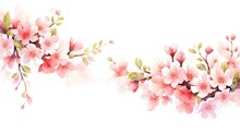 Decoration Spring Flower Watercolor Cherry Background