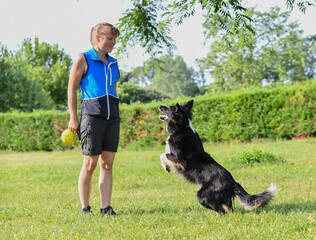 Canvas Print - obedience training with a border collie