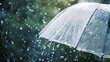 © thisisforyou - A transparent umbrella under heavy rain, set against a background of water droplets splashing. Illustrating the concept of rainy weather.