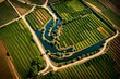 © Mehram - Impeccable lighting reveals vast fields in meticulous detail, where modern agricultural methods intersect with nature's beauty.