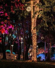 Wall Mural - lights in the garden's trees. Fairy party with neon lights.