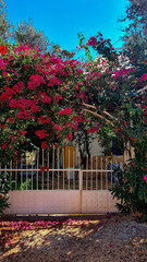 Wall Mural - travel Italy Turkey Mediterranean vacation sea mountains dream hotel blue historical sky pool
