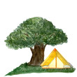 © Ekaterina - Watercolor hiking composition oak tree yellow tent