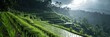 Rain over Bali rice terraces, highlighting the dynamic weather and vibrant greenery of Indonesia